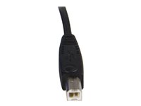 StarTech.com Câble pour Switch KVM VGA avec USB 2 en 1 - 1.80m - Câble clavier/vidéo/souris/USB - HD-15 (VGA), USB type B (M) pour USB, HD-15 (VGA) - 1.8 m - pour P/N: RKCOND17HD, SV231USBGB, SV231USBLC, SV431USB, SV431USBAE, SV431USBAEGB, SV431USBDDM SVUSB2N1_6