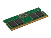 HP - DDR5 - module - 8 Go - SO DIMM 260 broches - 4800 MHz / PC5-38400 - mémoire sans tampon - non ECC - pour Elite 600 G9, 800 G9, Mini Conference G9; Workstation Z2 G9 4M9Y4AA