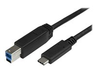 StarTech.com Câble USB-C vers USB-B de 2 m - Cordon USB Type-C vers Type-B pour imprimante - M/M - USB 3.0 - Câble USB - 24 pin USB-C (M) pour USB Type B (M) - USB 3.1 Gen1 - 2 m - pour P/N: HB30C5A2CSC, HBS304A24A, SV231DHU34K6, SV231HU34K6, SV231QDPU34K, SV431HU34K6 USB315CB2M