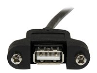 StarTech.com Câble USB 2.0 à montage sur panneau de 30cm - Rallonge USB monté sur goulotte - Cordon USB A vers A - F/M - Noir - Rallonge de câble USB - USB (M) pour USB (F) - USB 2.0 - 30 cm - moulé, vis moletées - noir - pour P/N: UUSBOTG USBPNLAFAM1