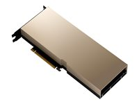 NVIDIA A100 - Processeur de calcul - A100 Tensor Core - 80 Go HBM2E - PCIe 4.0 - pour ProLiant DL380 Gen10, DL385 Gen10, DL580 Gen10 R9P49C