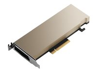 NVIDIA A2 - Processeur de calcul - A2 - 16 Go GDDR6 - PCIe 4.0 R9H23C