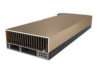 NVIDIA A40 - Processeur de calcul - NVIDIA A40 - 48 Go GDDR6 - PCIe 4.0 - pour Edgeline e920d; ProLiant XL645d Gen10, XL675d Gen10 R7E31A