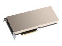 NVIDIA H100 - Processeur de calcul - NVIDIA H100 Tensor Core - 80 Go HBM3 - PCI Express 5.0 - san ventilateur - pour ProLiant DL380 Gen10 Plus, DL380A, DL385 Gen11 R9S41C