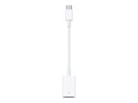 Apple USB-C to USB Adapter - Adaptateur USB - USB à 9 broches Type A (F) pour USB de type C (M) - pour MacBook MJ1M2ZM/A